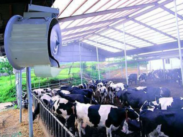 Air purification for open-air cattle farms
