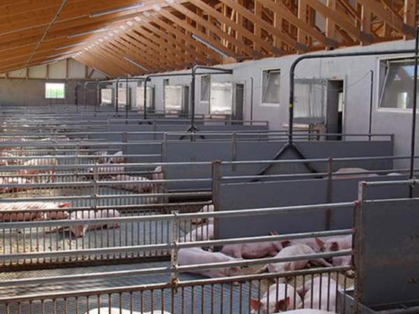 Pig farm air purification